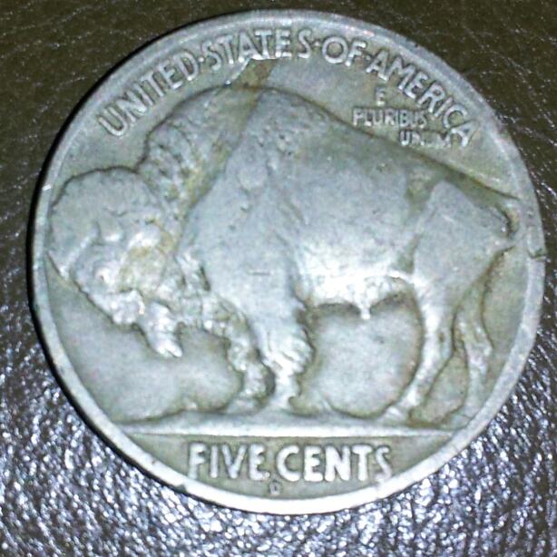 Reintroduction-And-First-Photo-Try,-My-1918/7-D-Buffalo